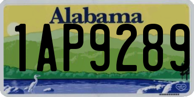 AL license plate 1AP9289