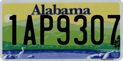 AL license plate 1AP9307