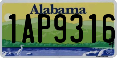 AL license plate 1AP9316