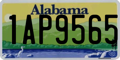 AL license plate 1AP9565