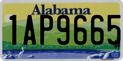 AL license plate 1AP9665
