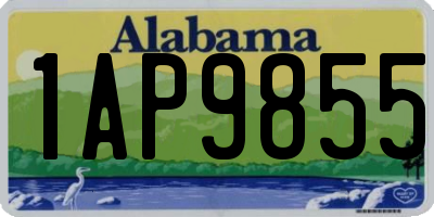 AL license plate 1AP9855