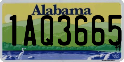 AL license plate 1AQ3665