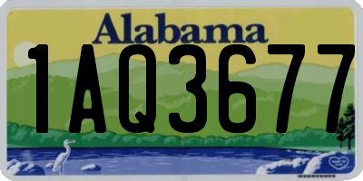 AL license plate 1AQ3677