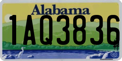 AL license plate 1AQ3836