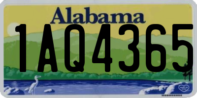 AL license plate 1AQ4365