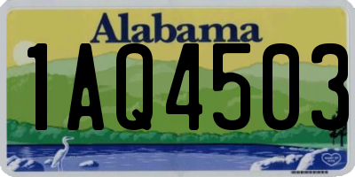 AL license plate 1AQ4503