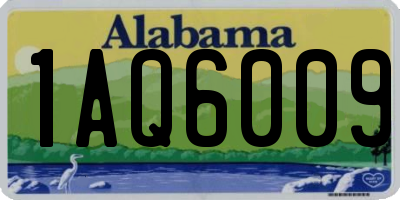 AL license plate 1AQ6009