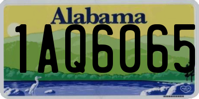 AL license plate 1AQ6065