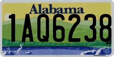 AL license plate 1AQ6238