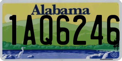 AL license plate 1AQ6246