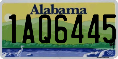 AL license plate 1AQ6445