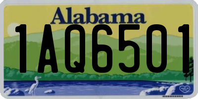 AL license plate 1AQ6501