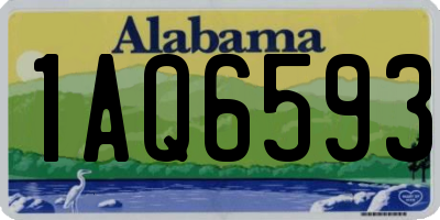 AL license plate 1AQ6593