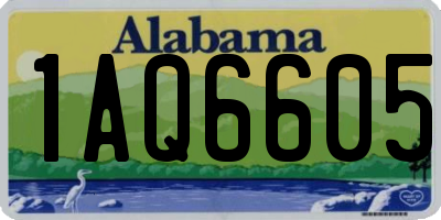 AL license plate 1AQ6605