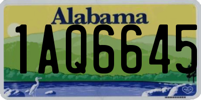 AL license plate 1AQ6645