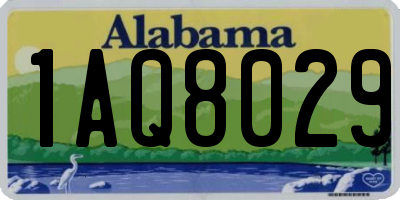 AL license plate 1AQ8029