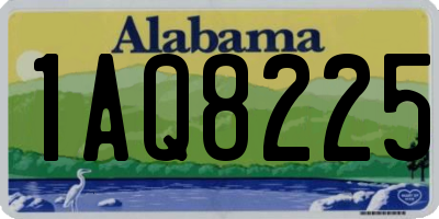 AL license plate 1AQ8225