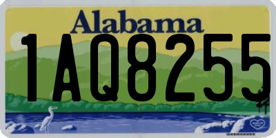 AL license plate 1AQ8255