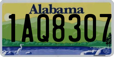 AL license plate 1AQ8307
