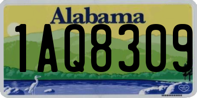 AL license plate 1AQ8309