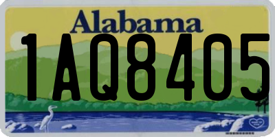 AL license plate 1AQ8405