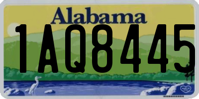 AL license plate 1AQ8445