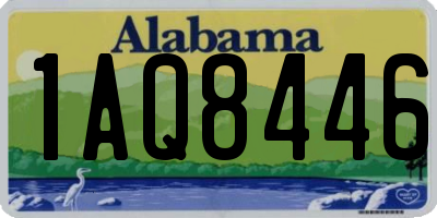 AL license plate 1AQ8446