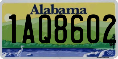 AL license plate 1AQ8602