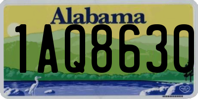 AL license plate 1AQ8630
