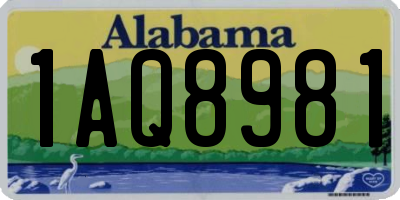 AL license plate 1AQ8981
