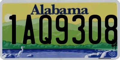 AL license plate 1AQ9308