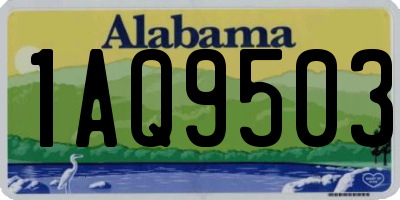 AL license plate 1AQ9503