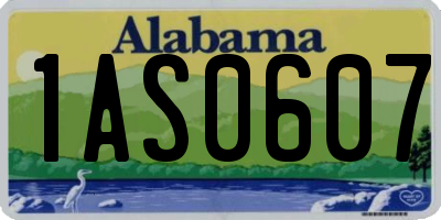 AL license plate 1AS0607