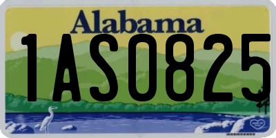 AL license plate 1AS0825