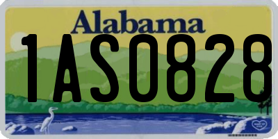 AL license plate 1AS0828