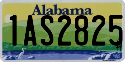 AL license plate 1AS2825