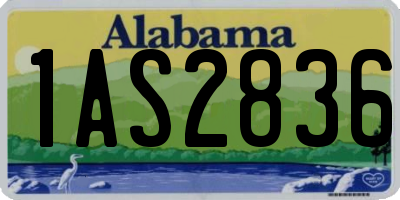 AL license plate 1AS2836