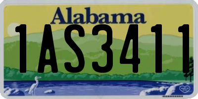 AL license plate 1AS3411