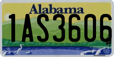 AL license plate 1AS3606