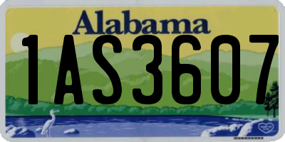 AL license plate 1AS3607