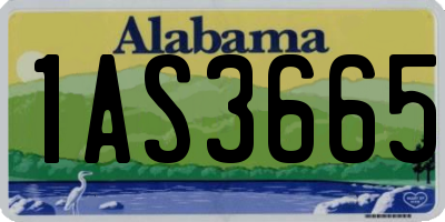 AL license plate 1AS3665