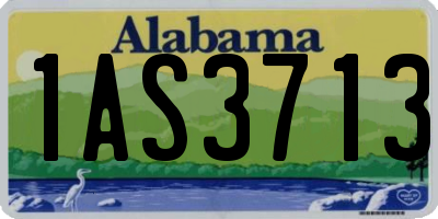 AL license plate 1AS3713
