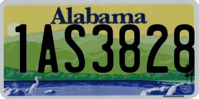 AL license plate 1AS3828