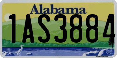 AL license plate 1AS3884