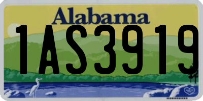 AL license plate 1AS3919