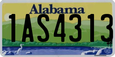 AL license plate 1AS4313