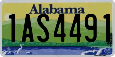 AL license plate 1AS4491
