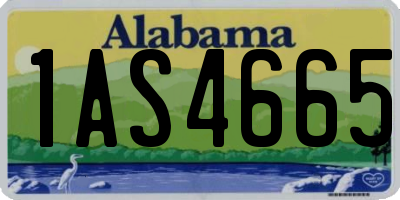 AL license plate 1AS4665