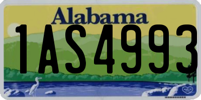 AL license plate 1AS4993
